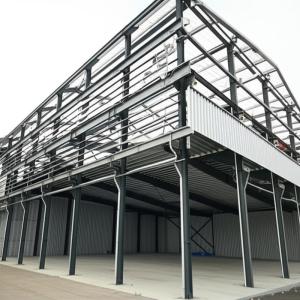SGS Certified Light Steel Structure Building with Custom Insulation