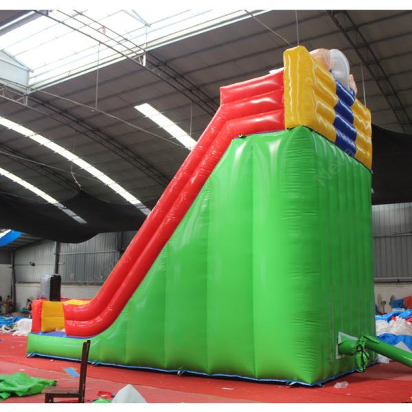 Castle Design Inflatable Castle Double Slide for Kids Commercial Pvc Jumping Bouncer