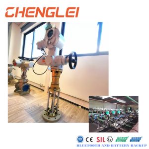 30Nm Torque Precision Automatic Electric Linear Actuator with Ordinary