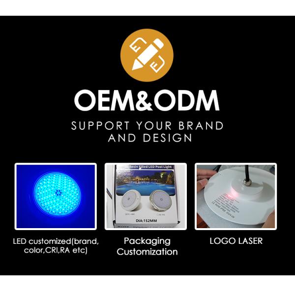 Underwater Swimming Pool Light AC12V Stainless Steel Color Changing Wall Mounted RGB ø280*35mm