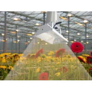 Low Dissipation 630W Horticultural Grow Lights Optimal Cooling For Seed Starting