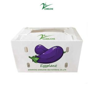 Correx Fruit Box PP Corrugated Plastic Box For Vegetable And Agriculture Packing