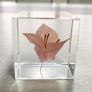 Cubic Flower Paperweight With Dandelion Inside Embed Processing