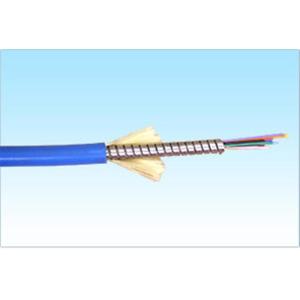 Flexible Armoured Blue 6mm (12core) Diameter Singlemode Optical Fiber Patch Cord