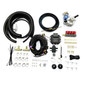 Wholesale Four Cylinder Car Petrol To LPG Conversion Kit For Sequential Injection System from china suppliers