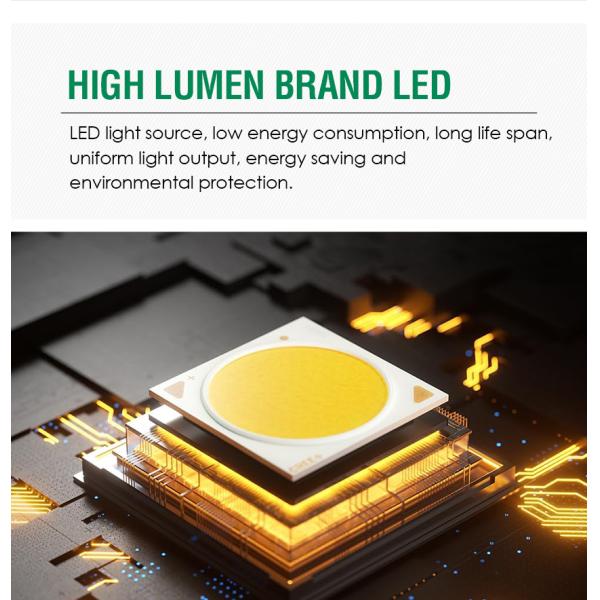 Surface Mounted Wall LED Light Square 8W DC 24V Warm White SMD LED Casting Aluminum Housing 45° Beam Angle