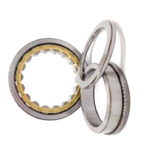 China ODM Double Radial Cylindrical Roller Bearing NU1019 95x145x24mm on sale