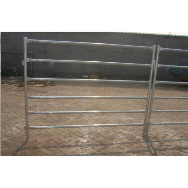 Cattle Panels System