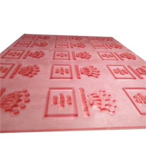 2 Camera 1 Screen Flexo Printing Plate Mounter Mounting Machine