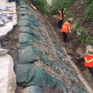 Tenglu Road Slope Protection and Lake Protection Geobag for Ecological