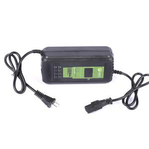 Input Voltage 220V AC 200-240V AC Lead Acid Battery Charger 48V 100A for 12V
