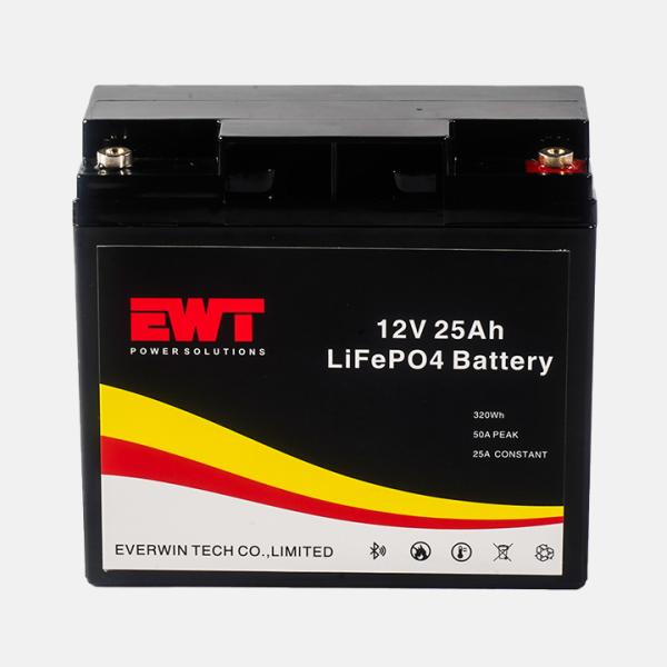 Customized Battery 12V 25Ah Lifepo4 UPS Battery for Forklift