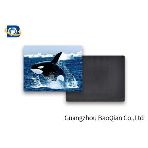 Customized Animal Personalized Fridge Magnets 3D Pictures PET Lenticular