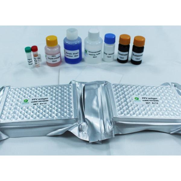 ISO9001 Diagnostic Porcine Veterinary Test Kit 192 Wells Per Kit PPV