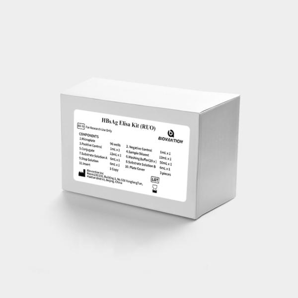 Quality Serum HBsAg Elisa Ruo Diagnostic Kit Easy To Use for sale