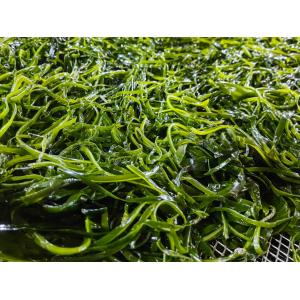 Wholesale Organic Edible Phaeophyceae Kelp Fronds Umami Sea Vegetables For Salads Or Stir Fries from china suppliers