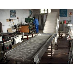 Automatic Conveyor System/Conveyor Board/Conveying