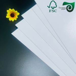 Double Sided Gloss FSC American Bristol Paper Board 250gsm 300gsm Sheet Printing