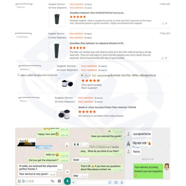 Glass Fibre Mechanical Accessory Pressure Filter Element D111G06B with Long Lifespan