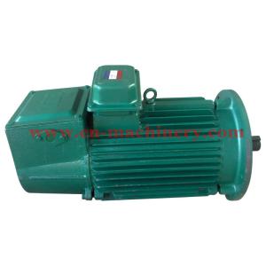 AC/DC Synchronous Generator Motor for Crane(CE, TUV, SGS) INVERTER DUTY MOTOR