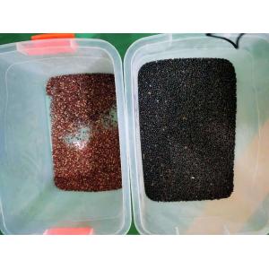 WENYAO Optical Seeds Color Sorting Machine Muster Seeds Radish Seeds Color