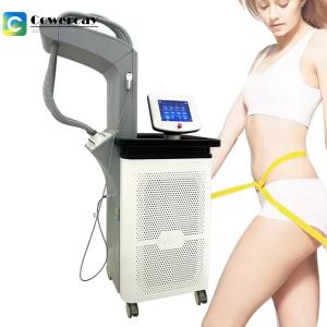 1060nm Laser Slimming Machine Lipo Laser Weight Loss Machine With 4 Handles