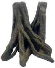 China Healthy Terrarium Tree Stump Decorative Reptile Terrarium Background on sale