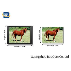 0.6 MM Custom Size 3D Horse Pictures For Adverting / Decoration Three Filps