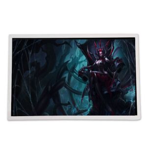 Custom LCD Display Inverter Automotive LCD Screen Inverters APEX HG322431