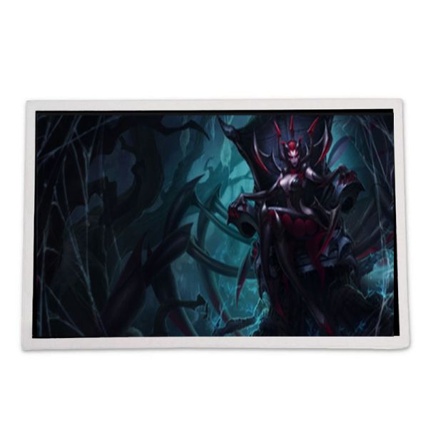 Custom LCD Display Inverter Automotive LCD Screen Inverters APEX HG322431