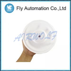 Wholesale 108839 Ptfe Air Operated Diaphragm Repair Kit 3 / 4 D54211 D5d211 D4d966 from china suppliers