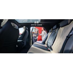 BYD 2025 Dolphin 520km Knight Edition EV