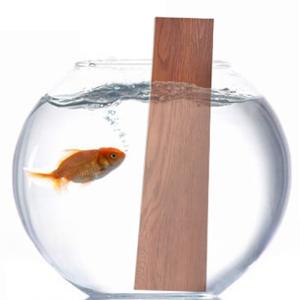 Unbelivable 5mm PVC Luxury Vinyl SPC Flooring The Perfect Blend of Style and