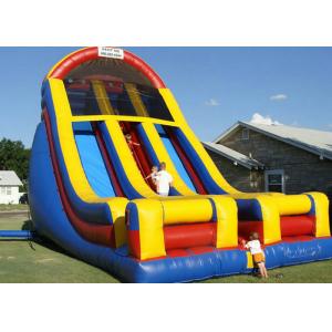 Rental Huge Inflatable Water Slide For Outdoor Activities, Customized Big Blow