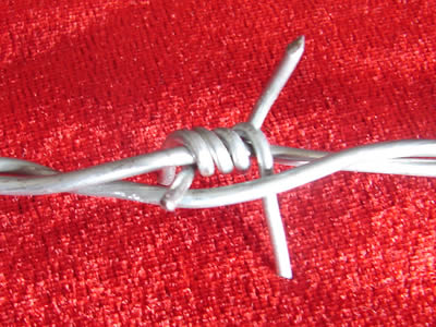 Barbed Wire