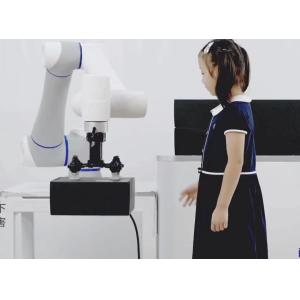 6 Axis Painting Industrial Collaborative Robot Arm Automatic Loading