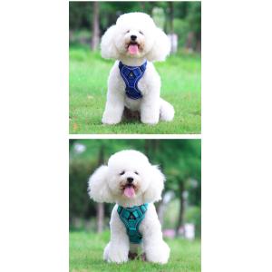 Leash for small dogs and cats with reflective breathable vest pet harness