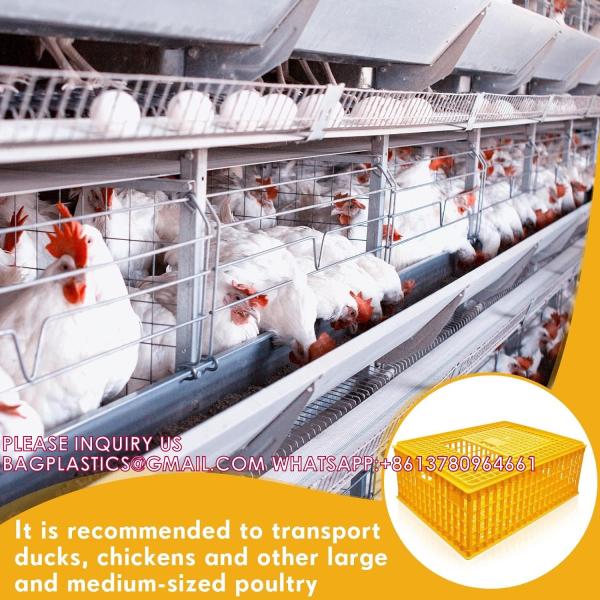 Poultry Carrier Crate Chicken Transport Cage Bird Chicken Carrier Travel Crate Basket Box