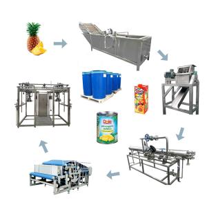 Wholesale Pineapple Processing Line with Diesel Backup Power Supply Multiple Use and Automatic Disinfection Control from china suppliers