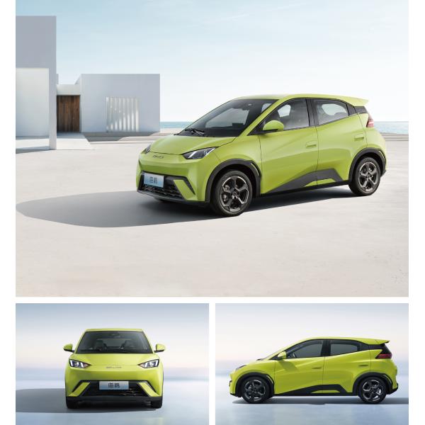 Lithium Battery Electric Cars Bestsource Byd Seagull Vibrant Version 305km for Adults
