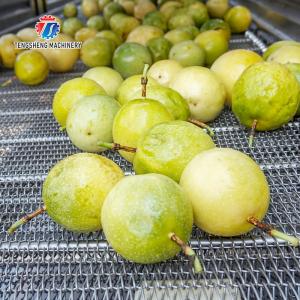 350KG Vegetable drain air drying machine stainless steel fruit and vegetable air