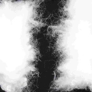 Propylene Side By Side Artificial Lightweight Polyester Staple Fibres For Face