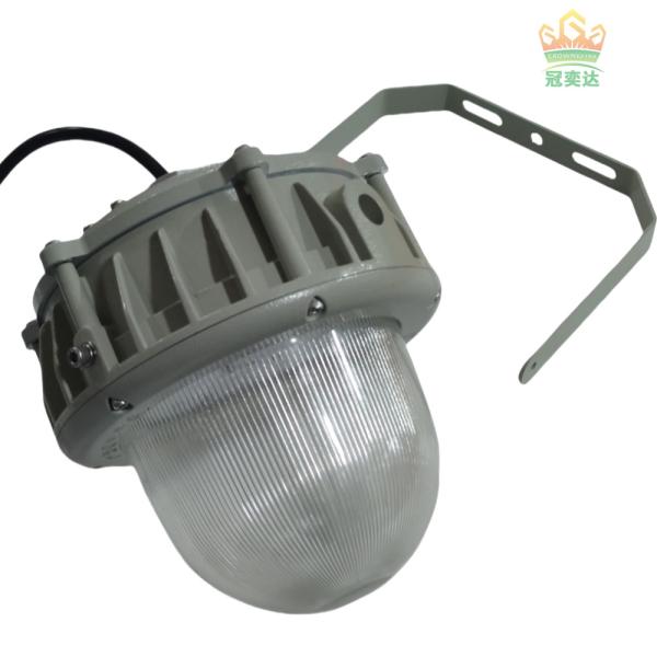 50-100W Explosion Proof LED Lighting With MEANWELL Driver And CREE Chip Long