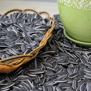 Wholesale Highly Nutritious Sunflower Seeds 3668 The Perfect Fit from china suppliers