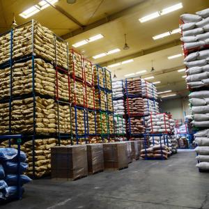 8.0 Moisture Dehydrated Garlic Powder 120mesh 80mesh 100mesh