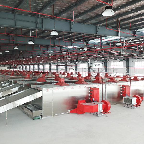 Consistent Quality Hot Pepper Chili Drying Solution Automated Chili Spice Dryer Machine