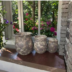 Gray Dotted With Beige Mottlings Round Fiber Clay Planter Planting Trees