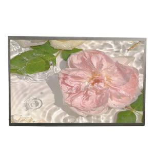 21.5 Inch Sunlight Readable TFT LCD Module 1500 Nits