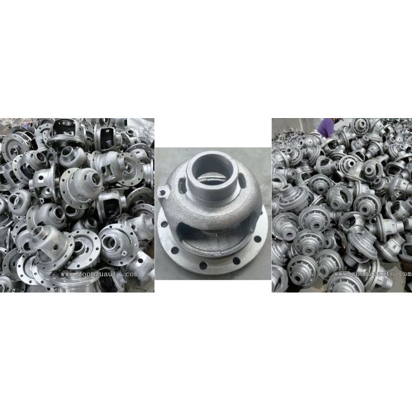 Differential housing casting