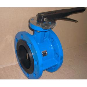 DN250 10 Inch Butterfly Check Valve Fusion Bonded Epoxy ASTM For Water